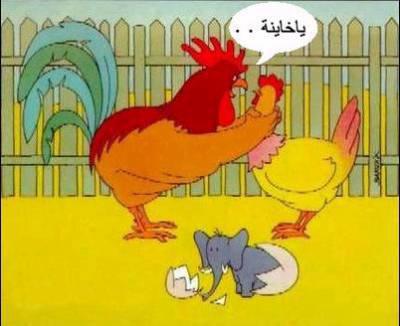 wa zeman hada